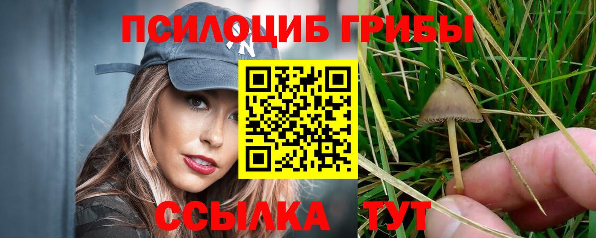 Псилоцибиновые грибы MAGIC MUSHROOMS  как найти наркотики  Сафоново  Вход с VPN 